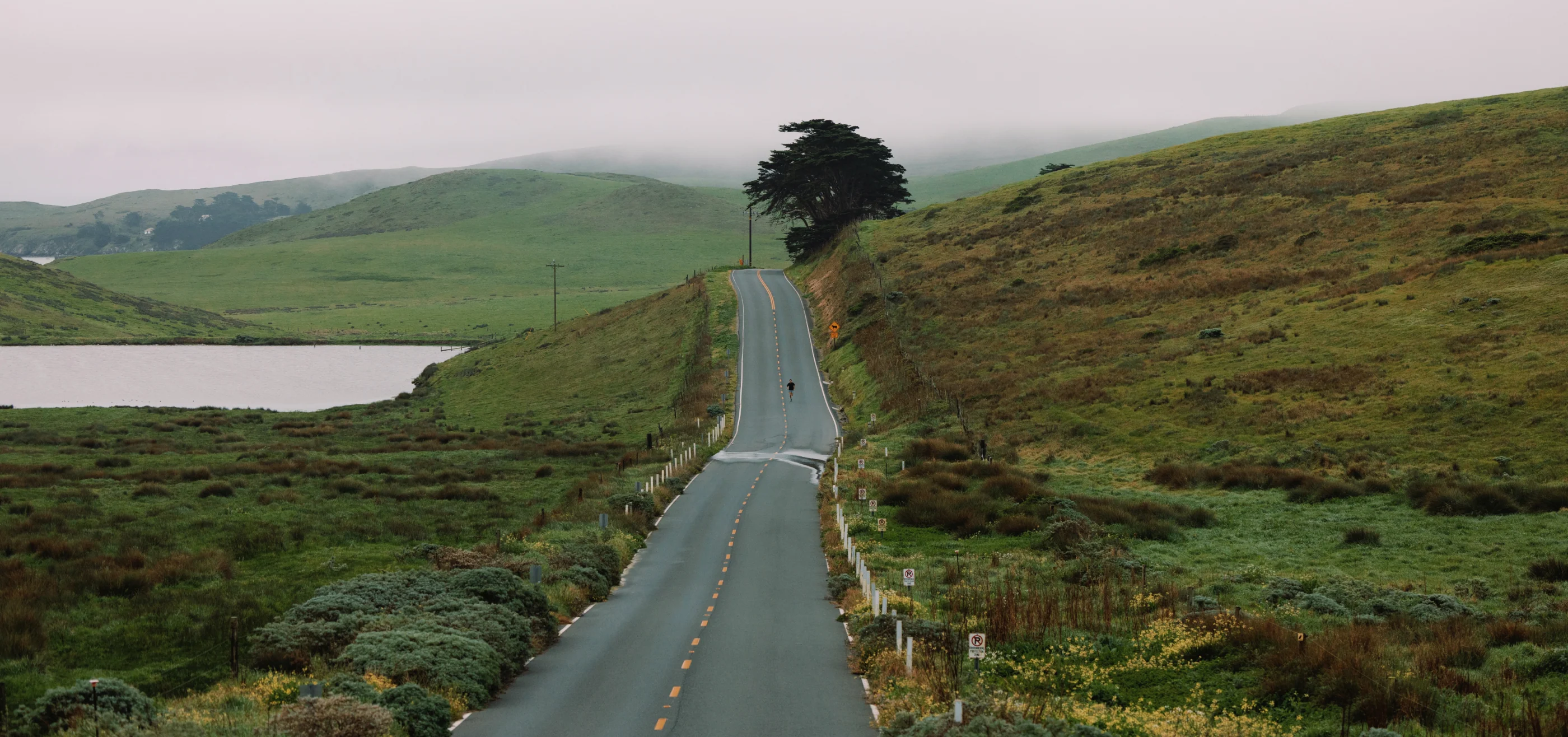 Brooklyn Born, Runner Refined